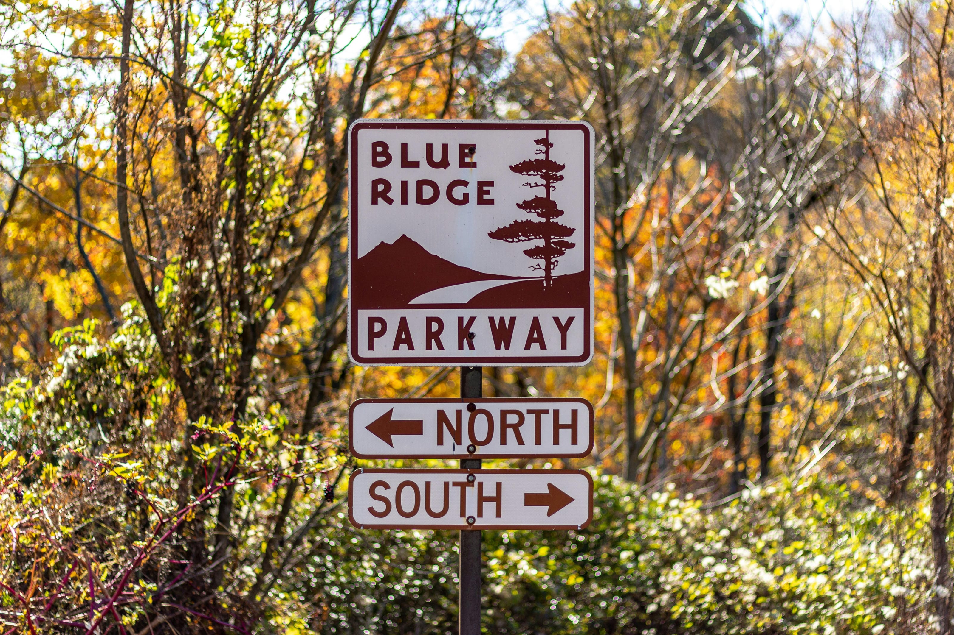 Blue Ridge Parkway in fall